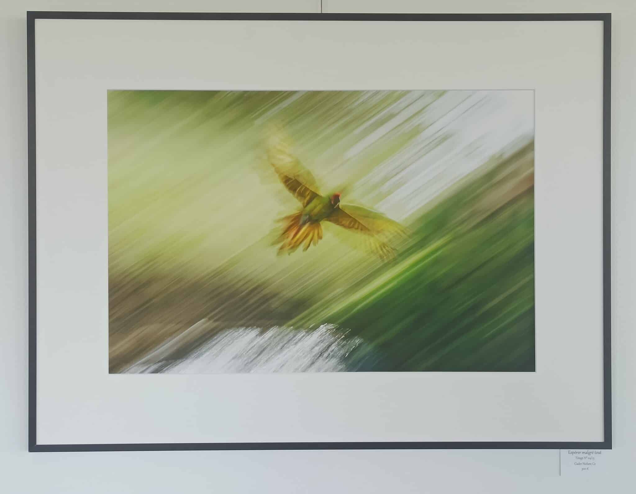 Siriot Suspended Moments Exhibition : to be discovered this summer