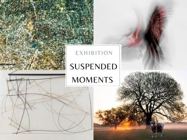 Suspended Moments Exhibition artwork in Parnay