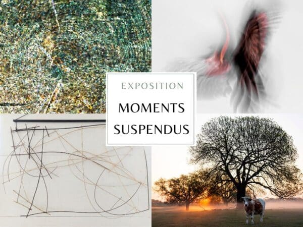 Exposition Moments Suspendus : 4 artistes saumurois
