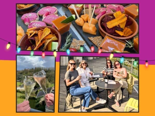 Afterwork vigneron à Parnay : planches apéritives et dégustation de vins en terrasse au Domaine de Rocheville