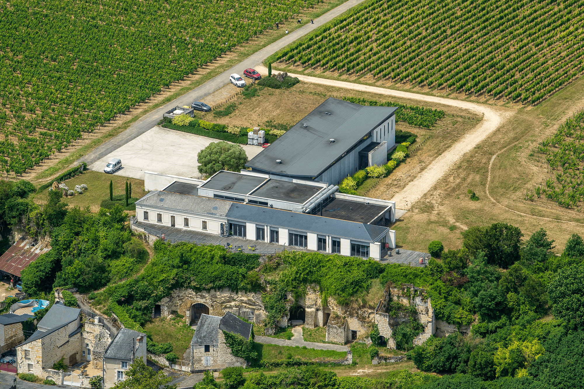 Domaine de Rocheville corporate seminars in Saumur vineyards, Loire Valley