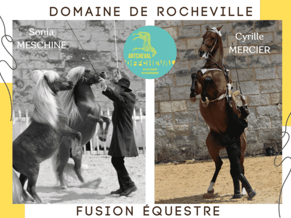 Visuel web fusion equestre