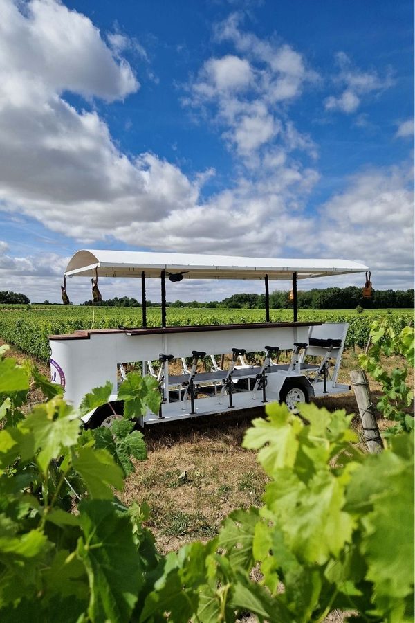 Roule'Ernest : vélo bar dans les vignes de Rocheville - visite insolite dans les vignes