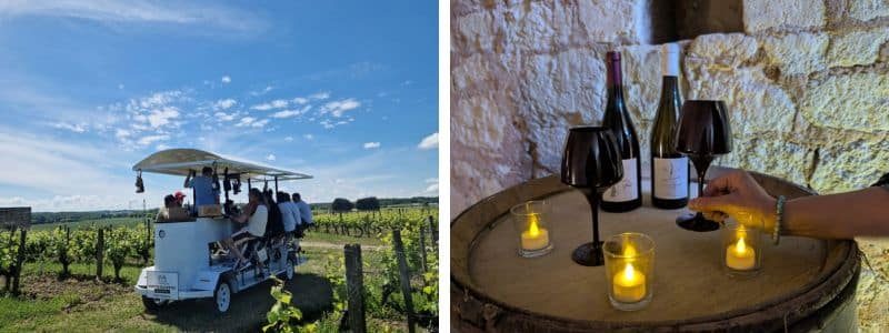 Animations oenotourisme vignobles en scène en Anjou-Saumur